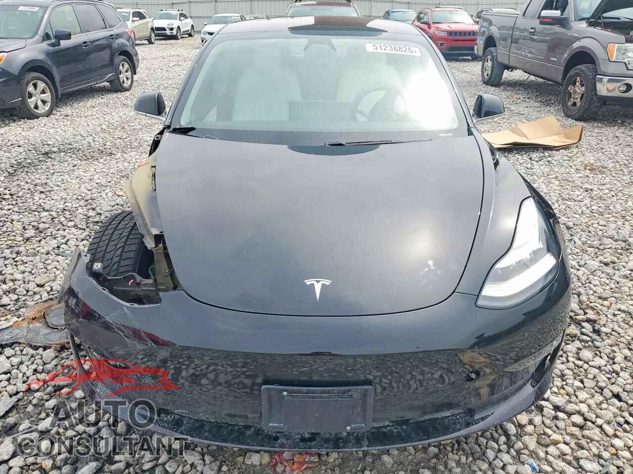 TESLA MODEL 3 2019 - 5YJ3E1EA3KF301663