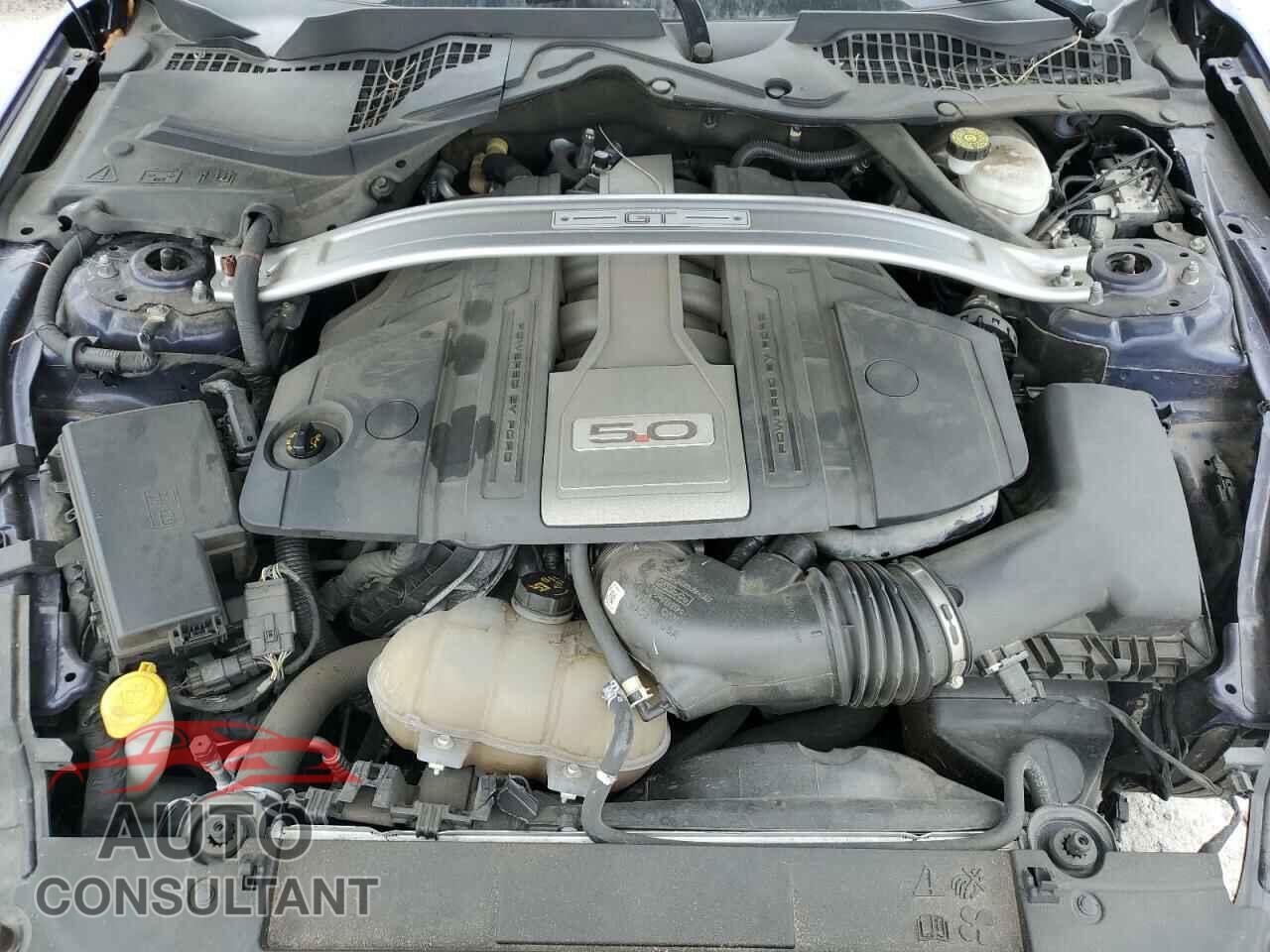 FORD MUSTANG 2019 - 1FA6P8CF2K5201110