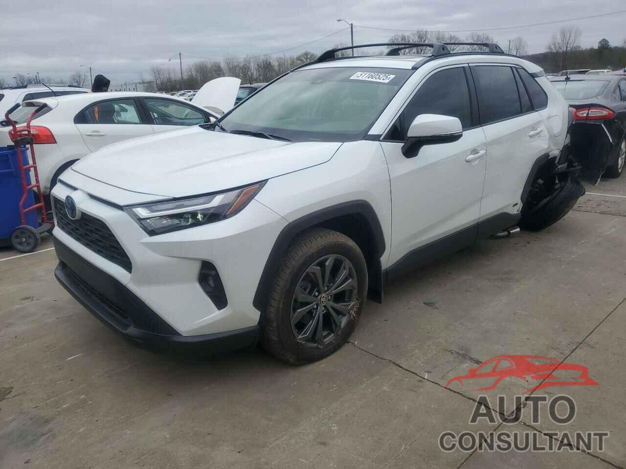 TOYOTA RAV4 2024 - JTMB6RFV2RJ046614