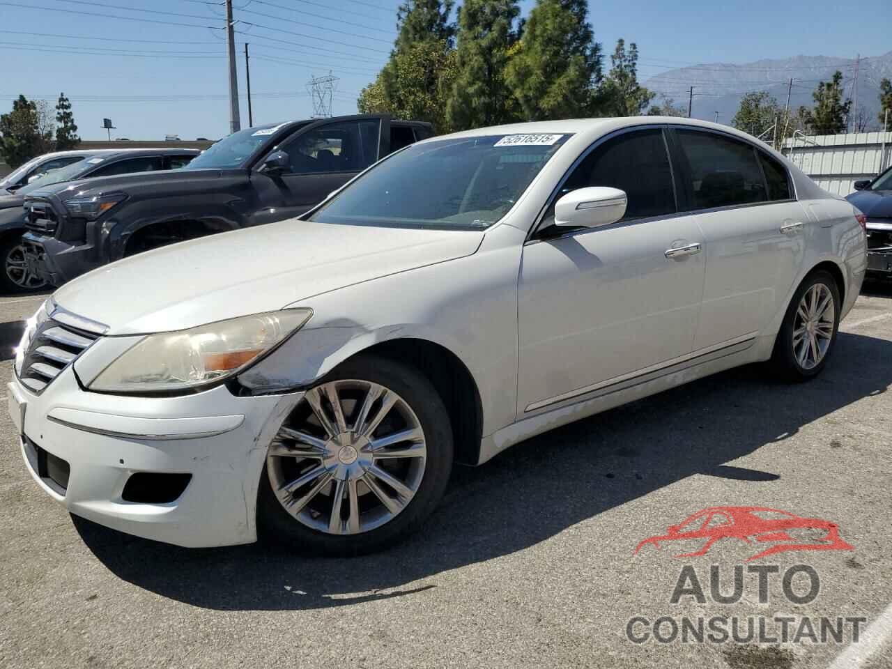 HYUNDAI GENESIS 2011 - KMHGC4DF1BU145065