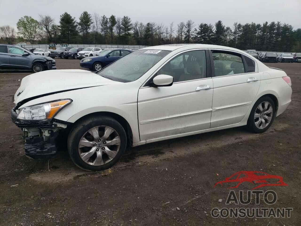HONDA ACCORD 2009 - 1HGCP36819A048171