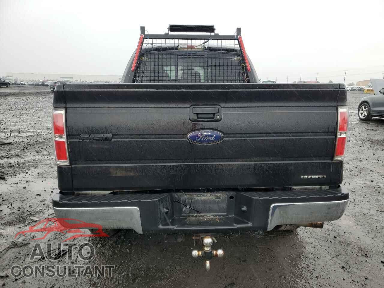 FORD F-150 2011 - 1FTFX1EF4BFB11479