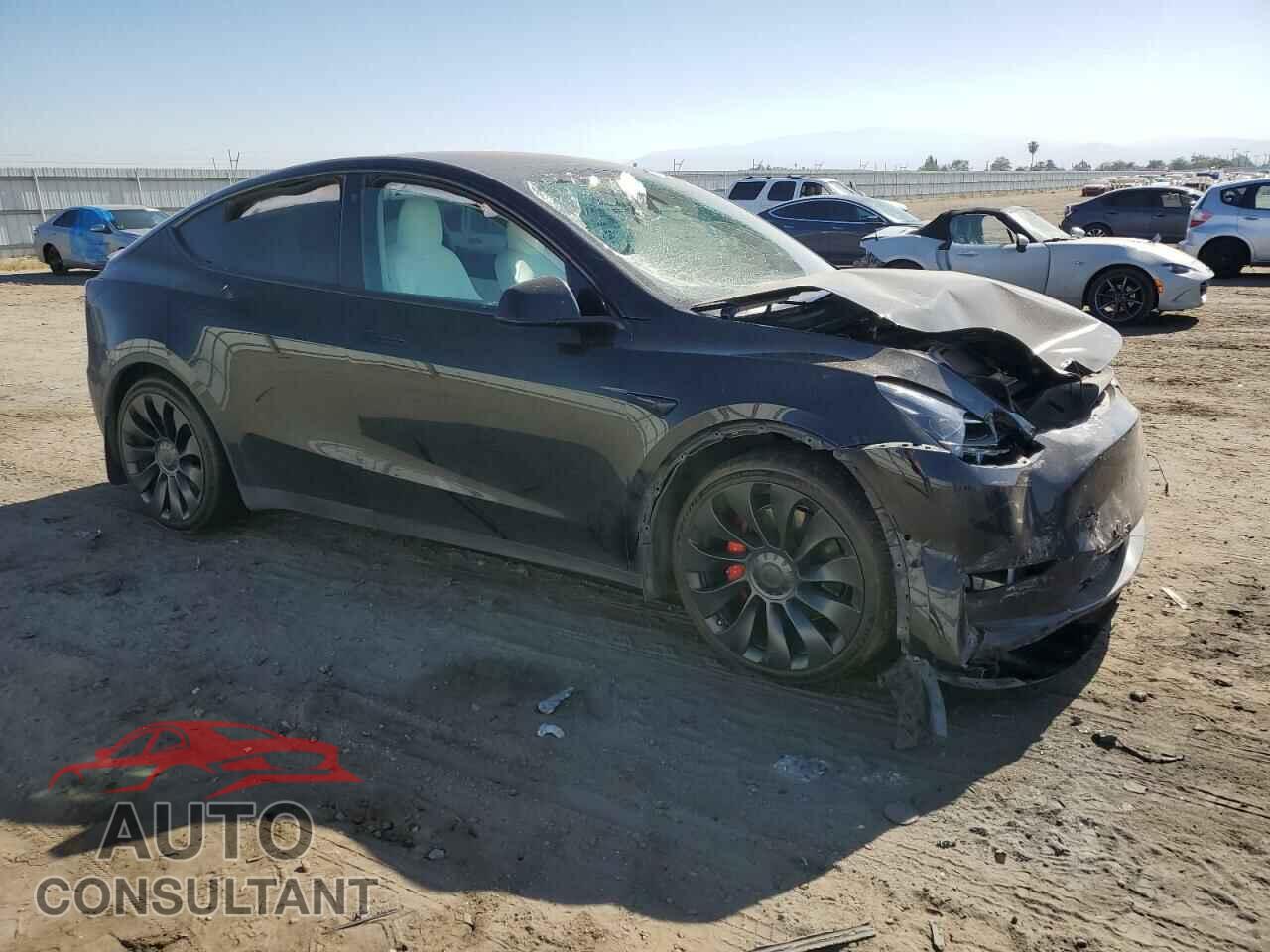 TESLA MODEL Y 2022 - 7SAYGDEF9NF486113