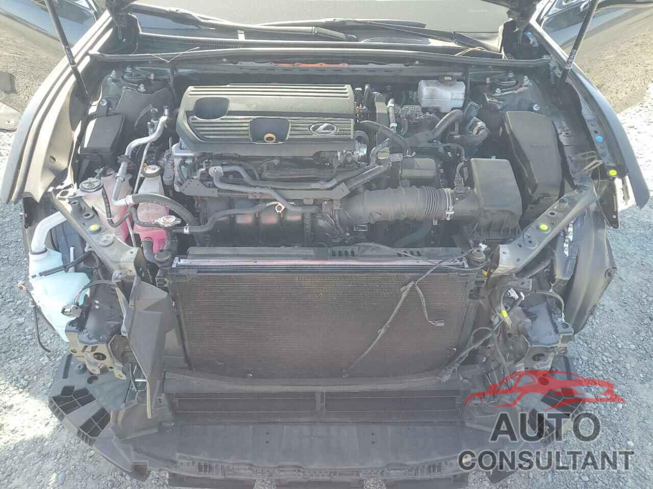LEXUS ES300 2024 - 58ADA1C14RU037622