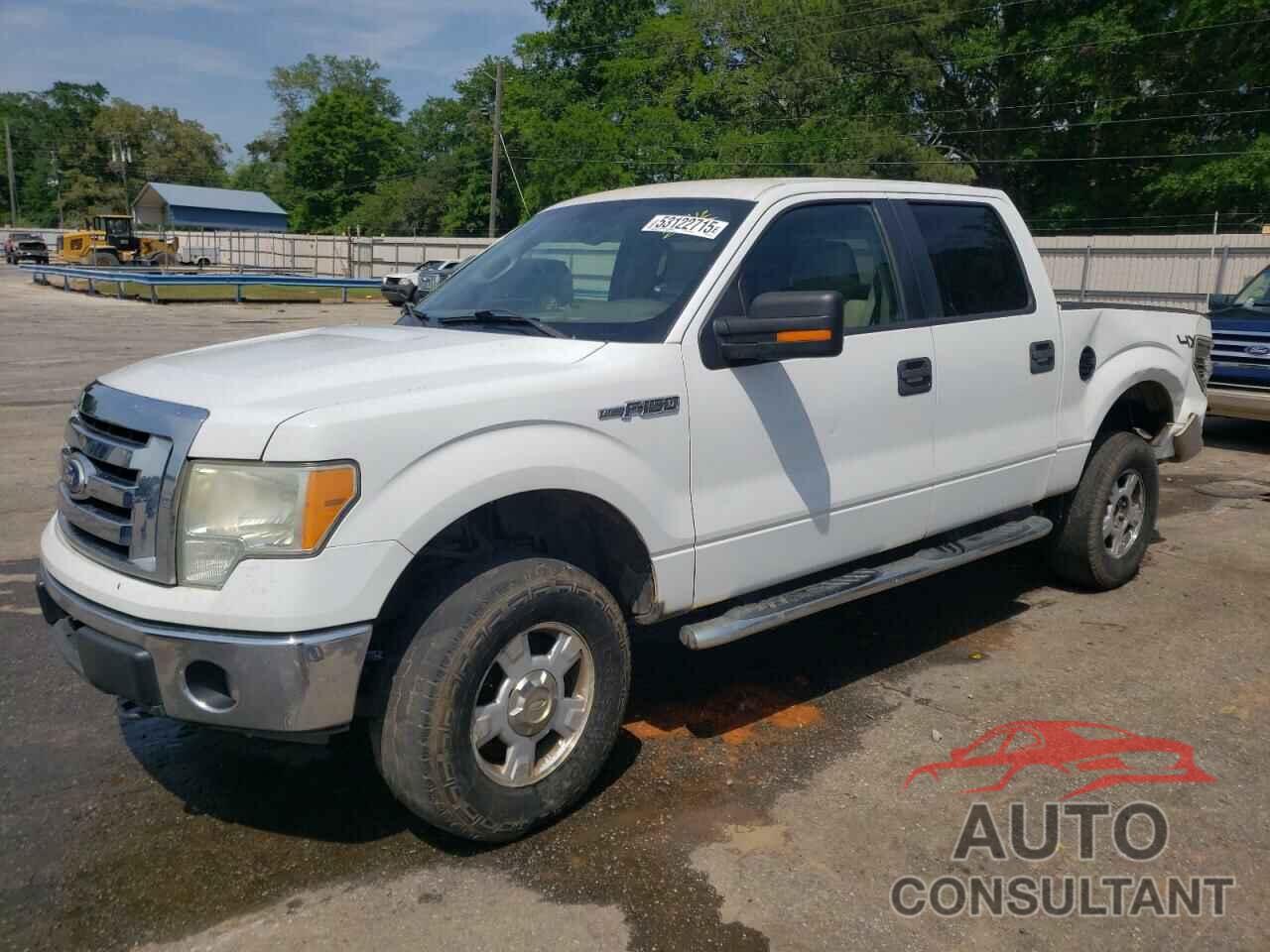 FORD F-150 2010 - 1FTEW1E82AFD83530