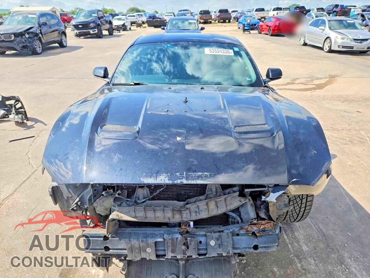 FORD MUSTANG 2019 - 1FA6P8TH4K5111913