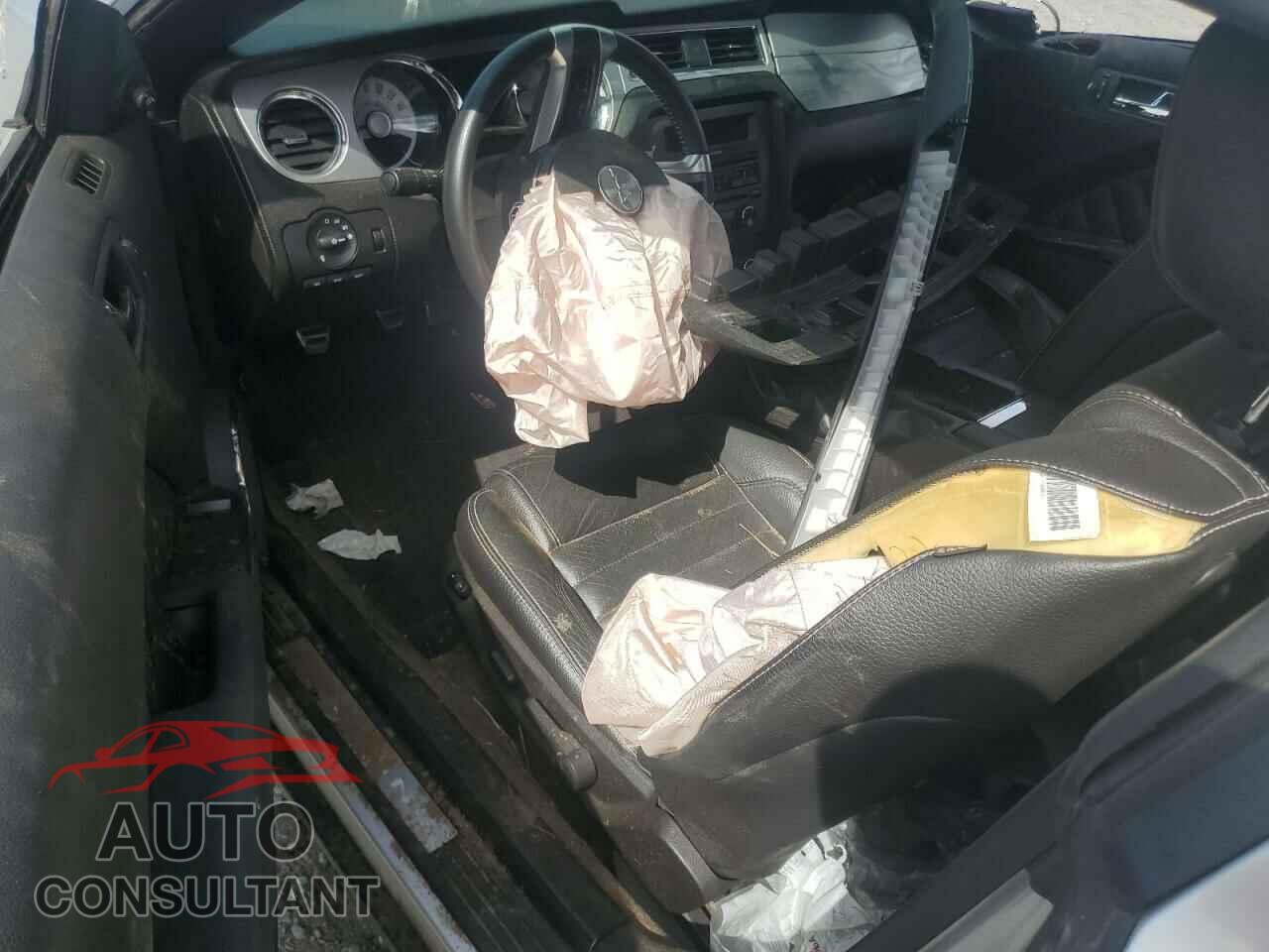 FORD MUSTANG 2011 - 1ZVBP8CF0B5103828
