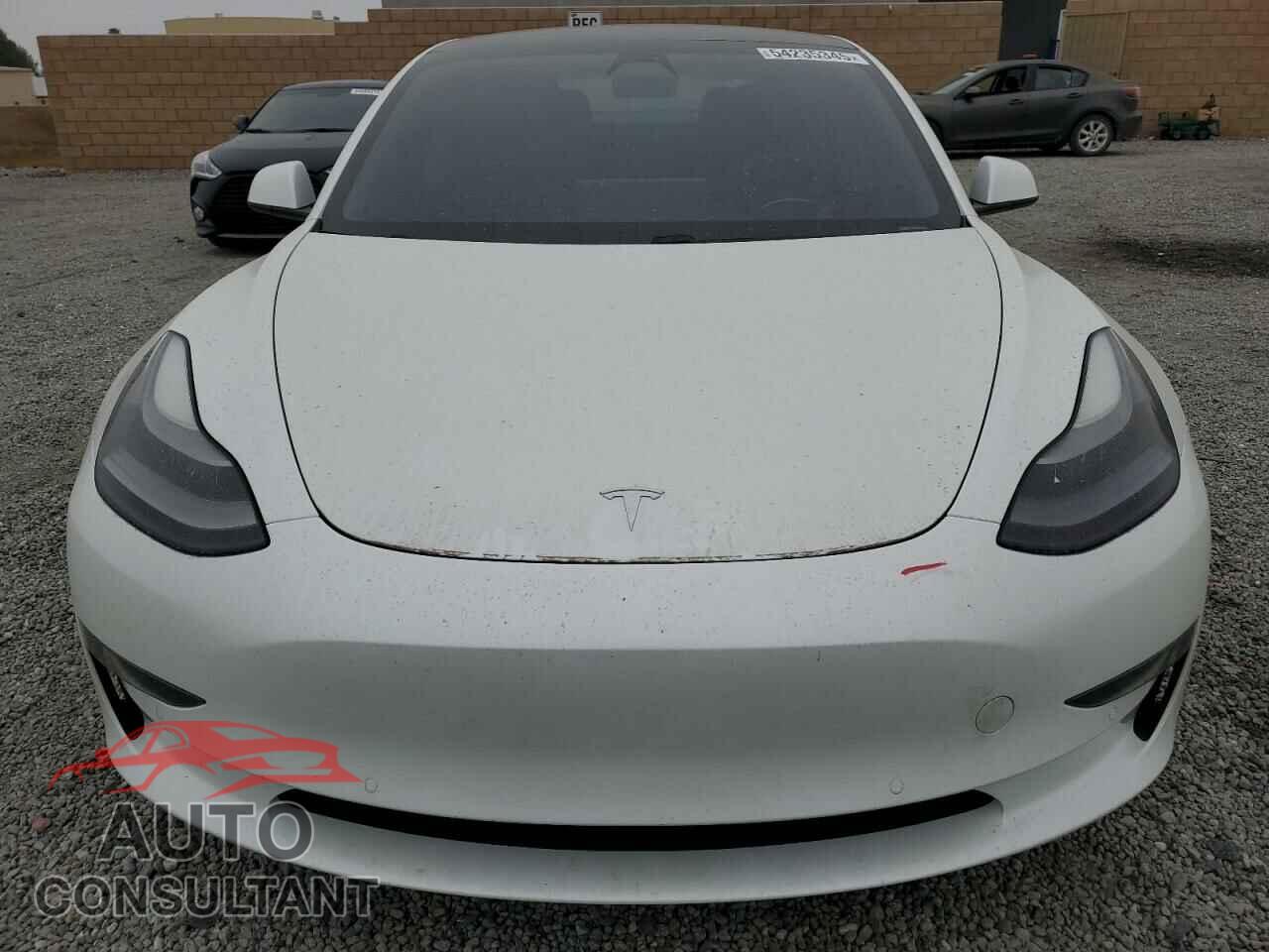 TESLA MODEL 3 2021 - 5YJ3E1EAXMF065760