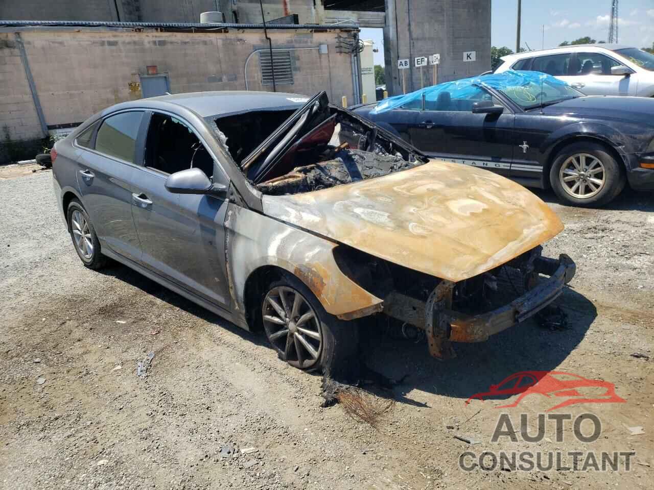 HYUNDAI SONATA 2019 - 5NPE24AF6KH736103