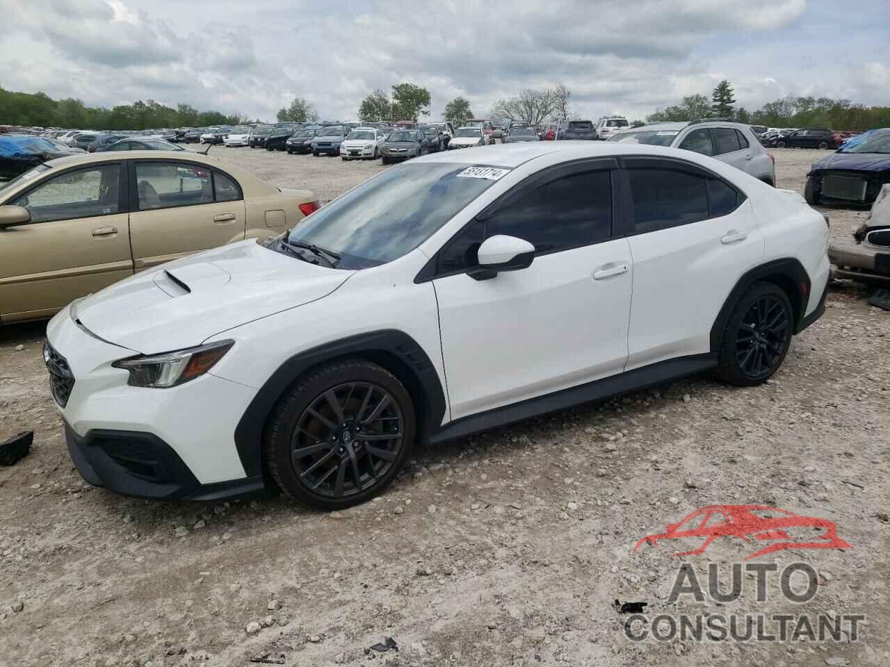 SUBARU WRX 2022 - JF1VBAF64N9024649