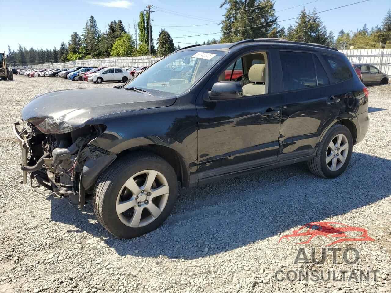 HYUNDAI SANTA FE 2009 - 5NMSH13E29H324143