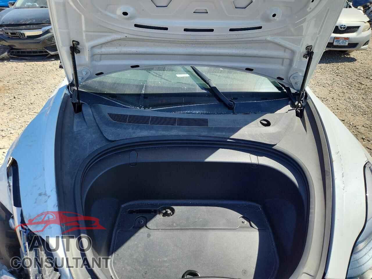 TESLA MODEL 3 2019 - 5YJ3E1EA1KF427262