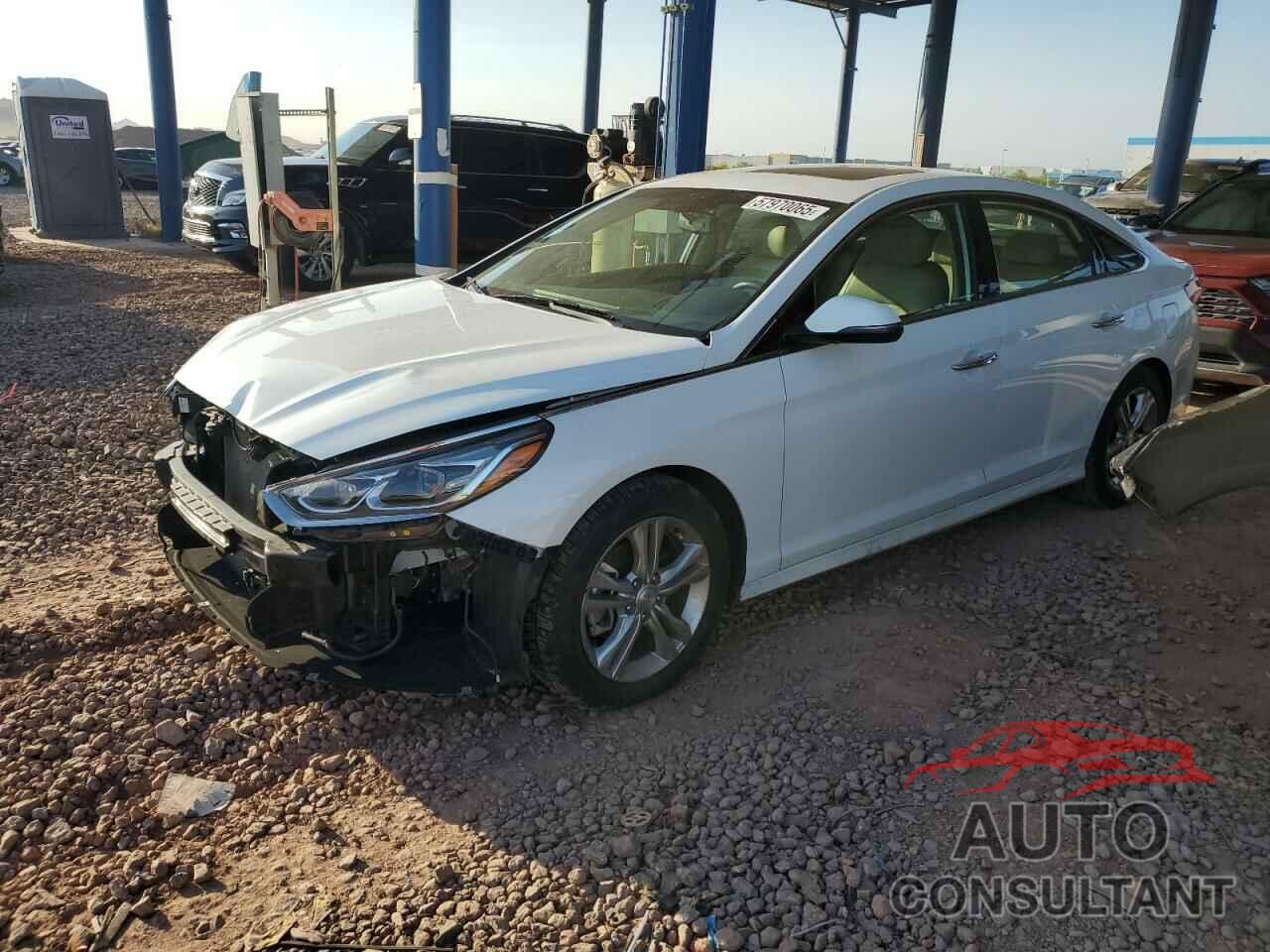 HYUNDAI SONATA 2018 - 5NPE34AF3JH667463