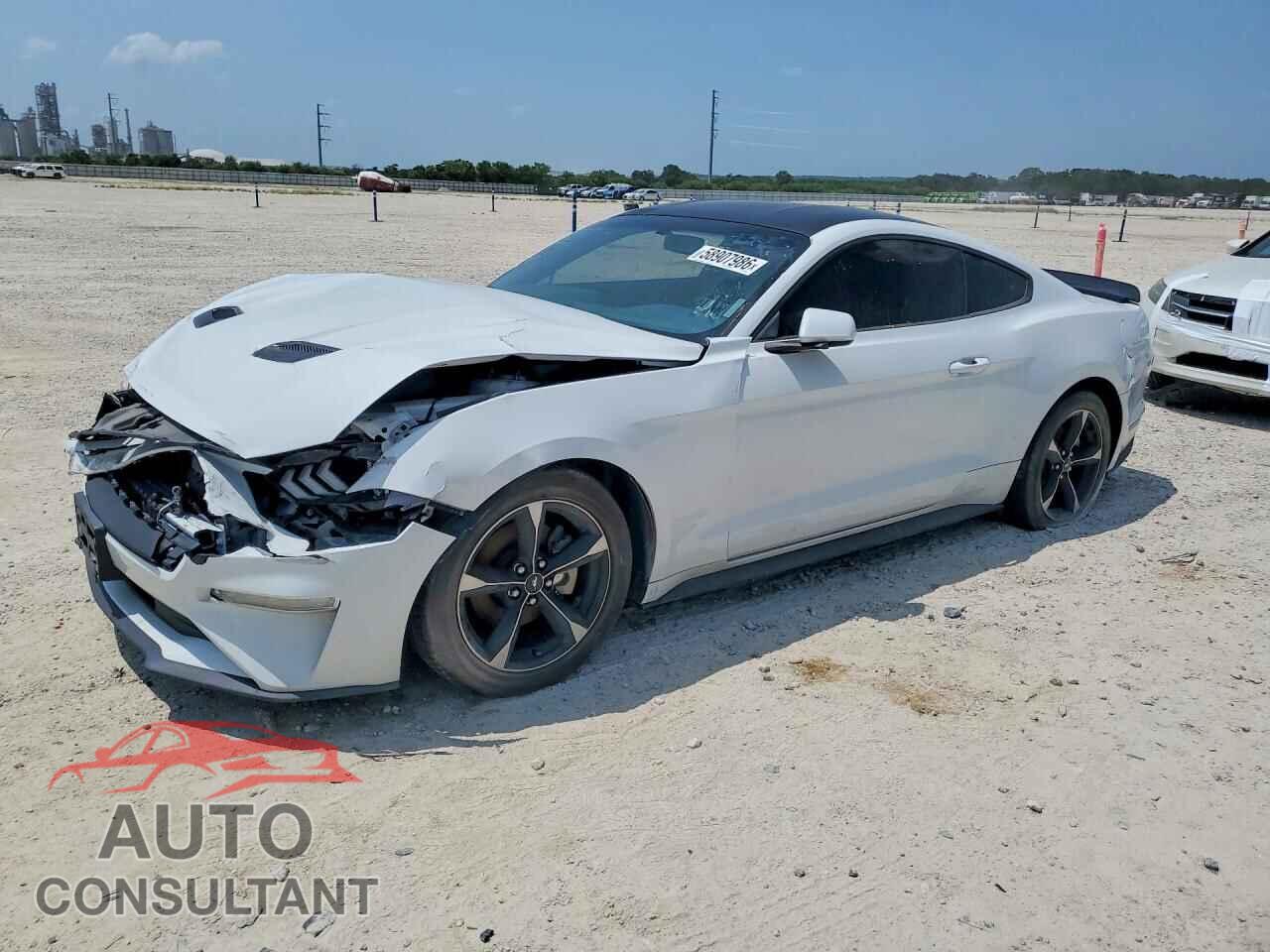 FORD MUSTANG 2019 - 1FA6P8TH7K5122971