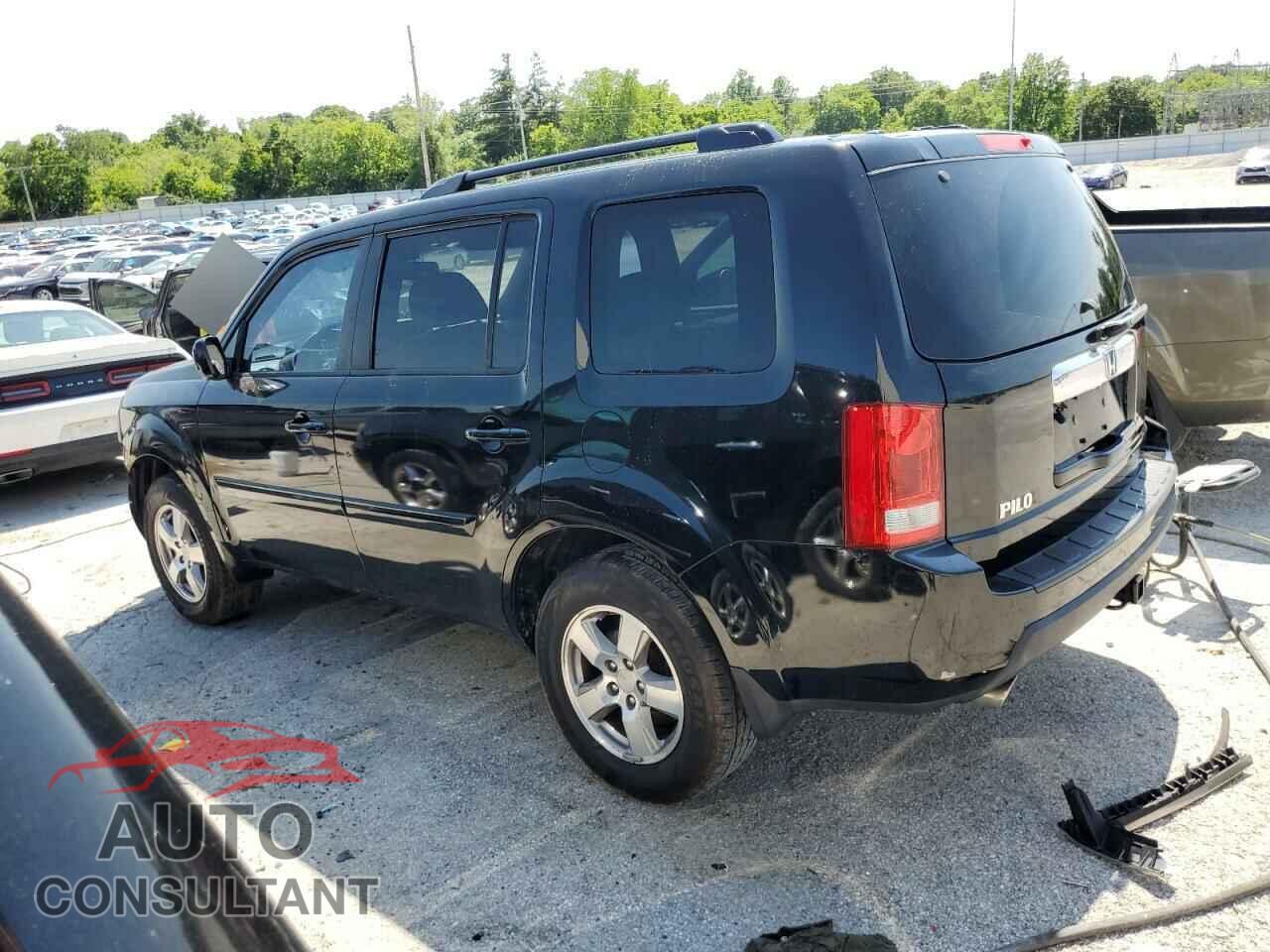 HONDA PILOT 2011 - 5FNYF3H5XBB020344