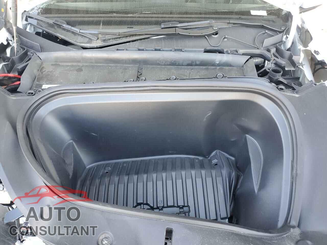 TESLA MODEL Y 2024 - 7SAYGDEE0RF981488