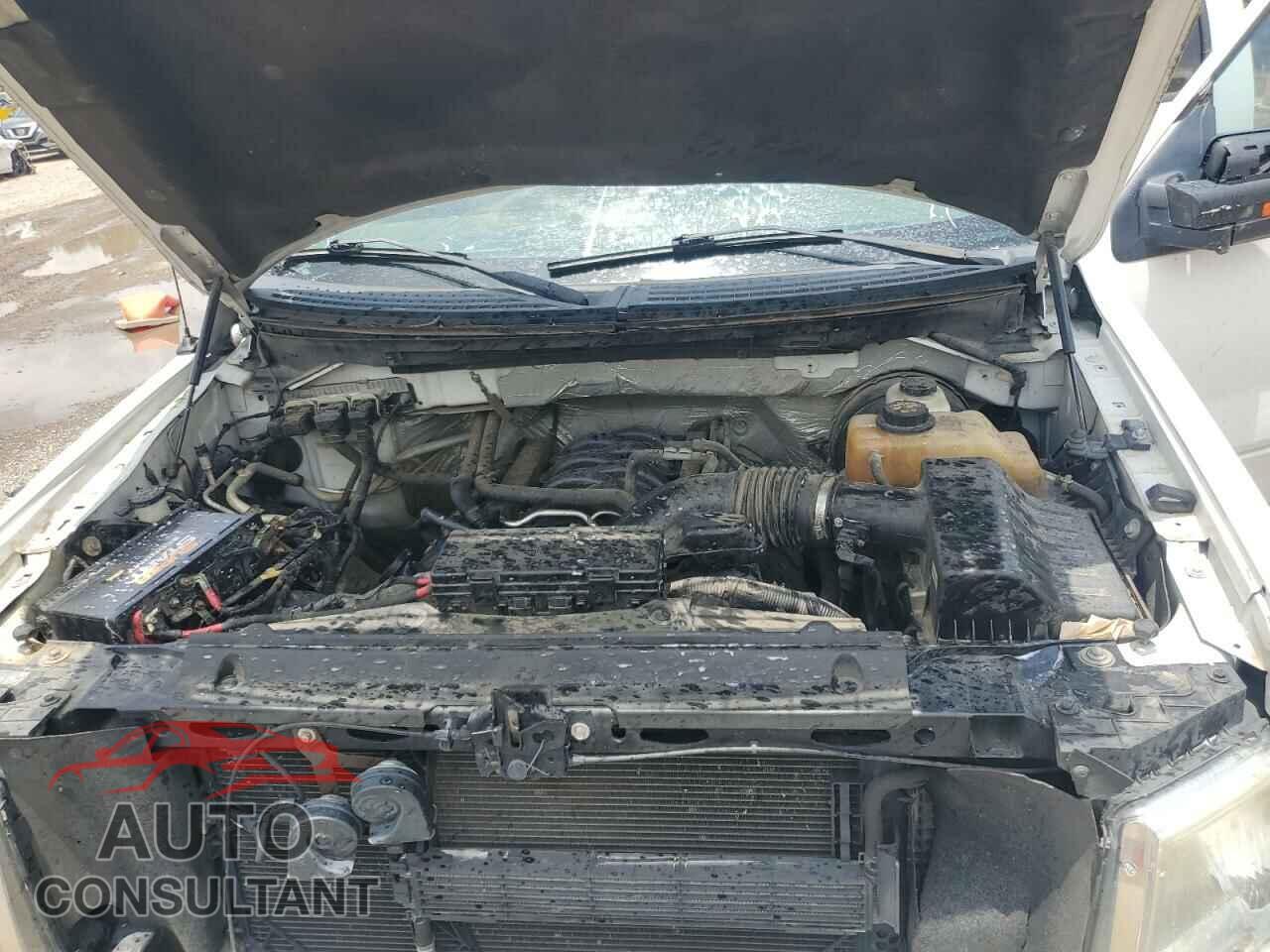 FORD F-150 2013 - 1FTFW1CF3DFD52748