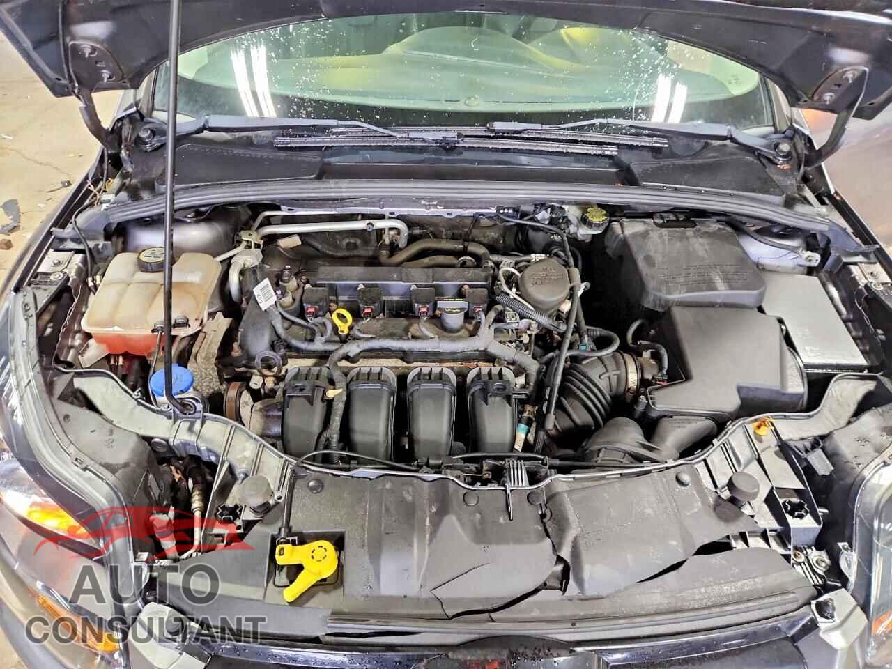 FORD FOCUS 2013 - 1FADP3N20DL300334
