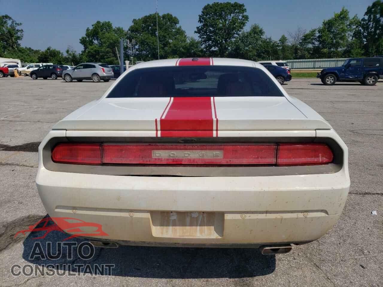 DODGE CHALLENGER 2013 - 2C3CDYAG7DH548725