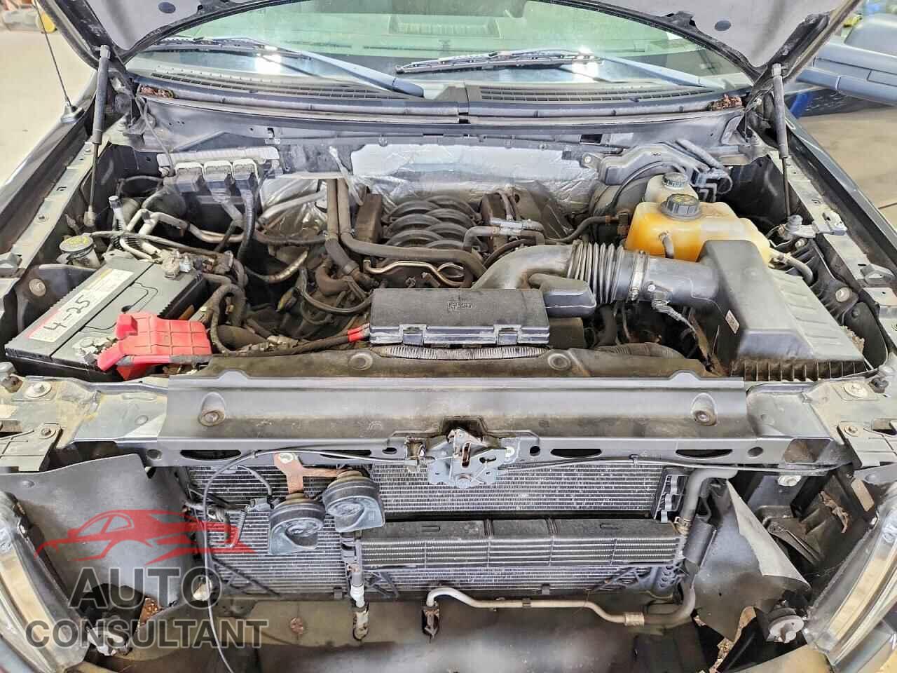 FORD F150 2013 - 1FTFX1EF7DFD16460