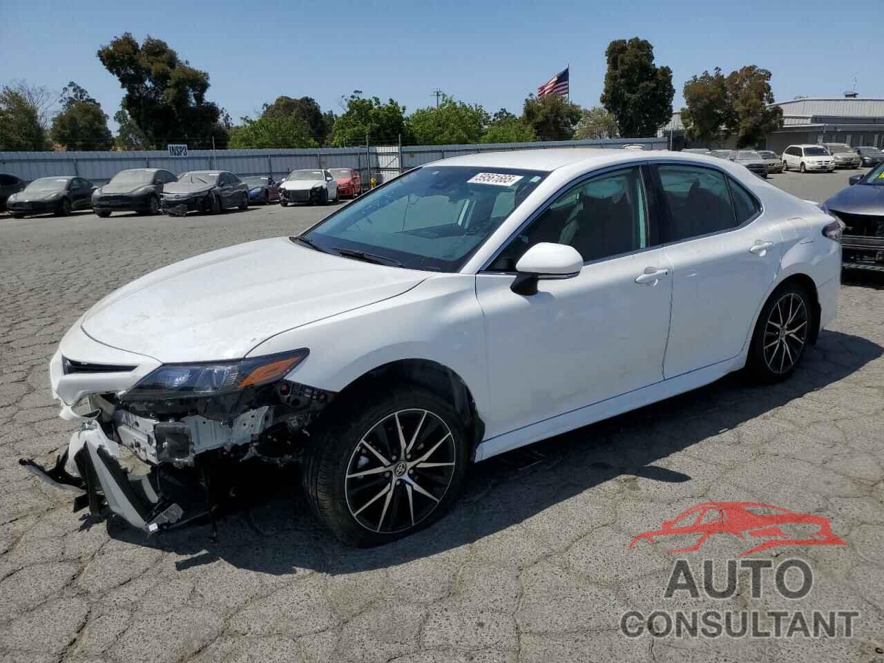 TOYOTA CAMRY 2023 - 4T1G31AK0PU619658