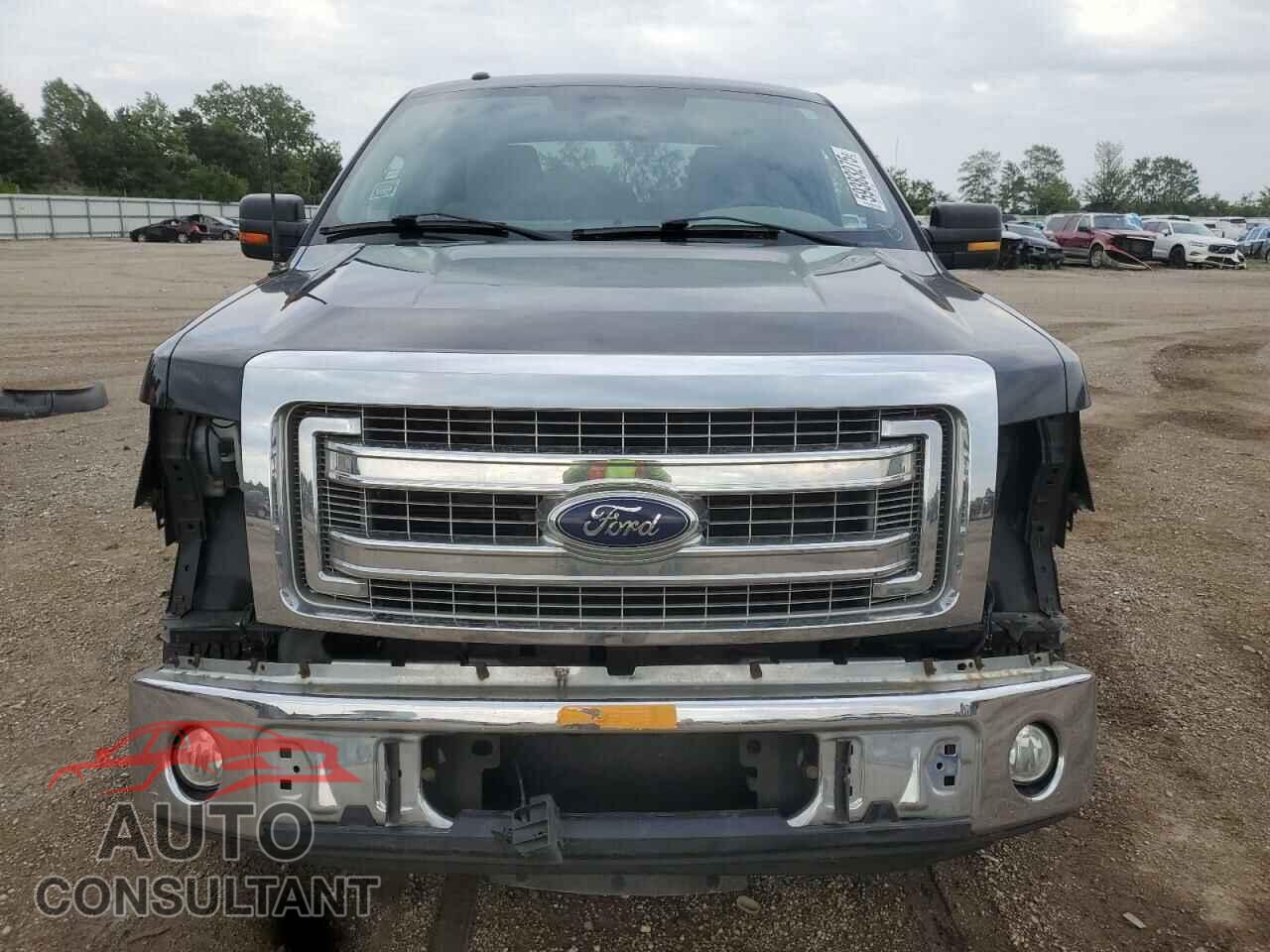 FORD F-150 2013 - 1FTEX1CM9DFD64295