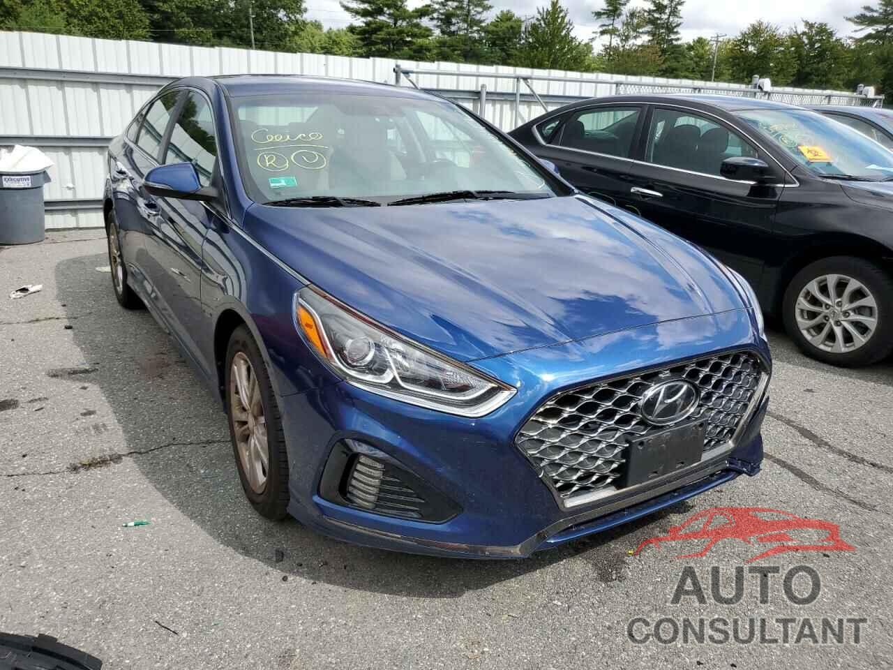 HYUNDAI SONATA 2019 - 5NPE34AF2KH777597