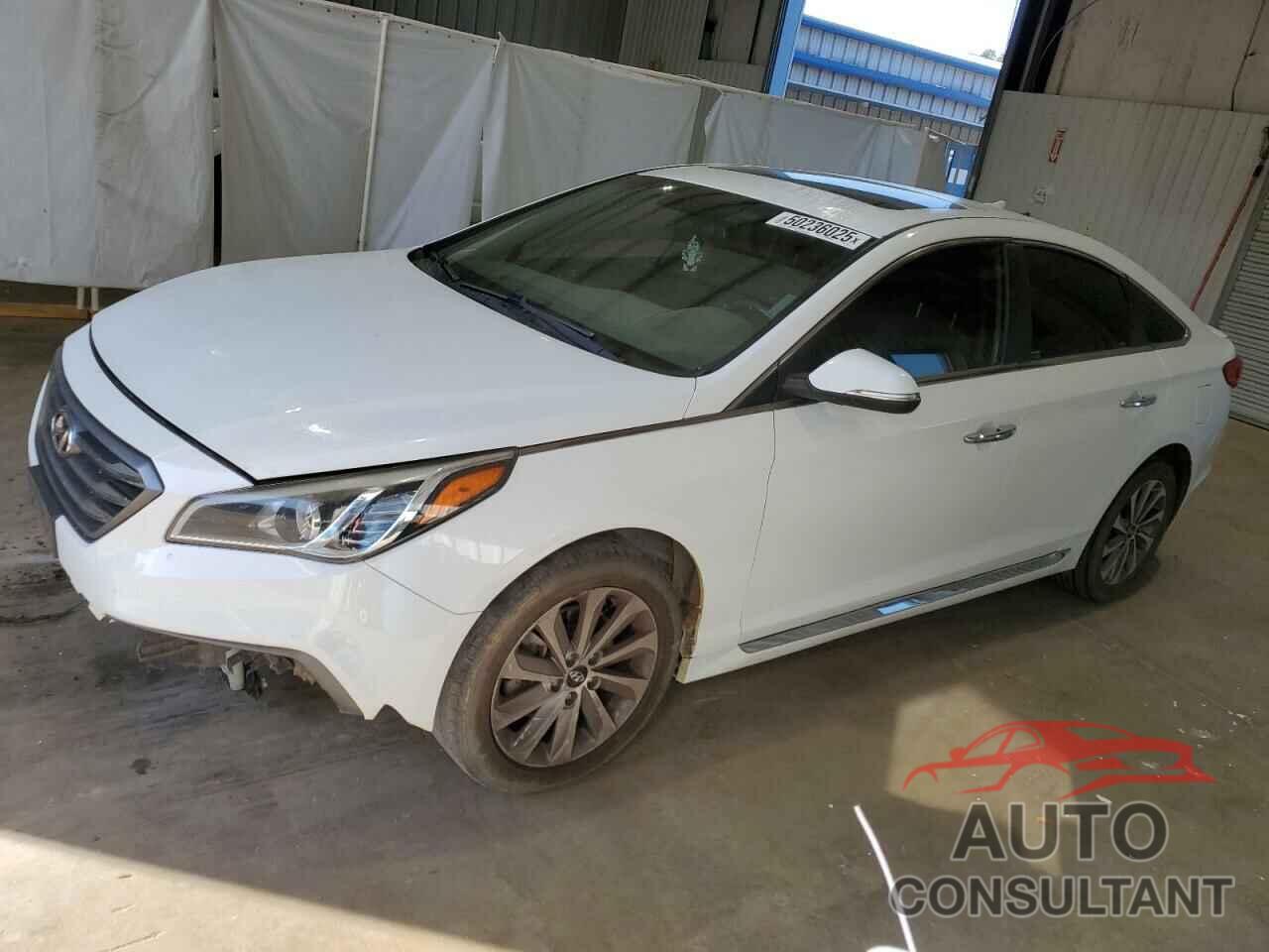 HYUNDAI SONATA 2016 - 5NPE34AF3GH361937