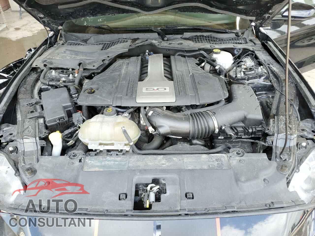 FORD MUSTANG 2019 - 1FA6P8CF9K5123182