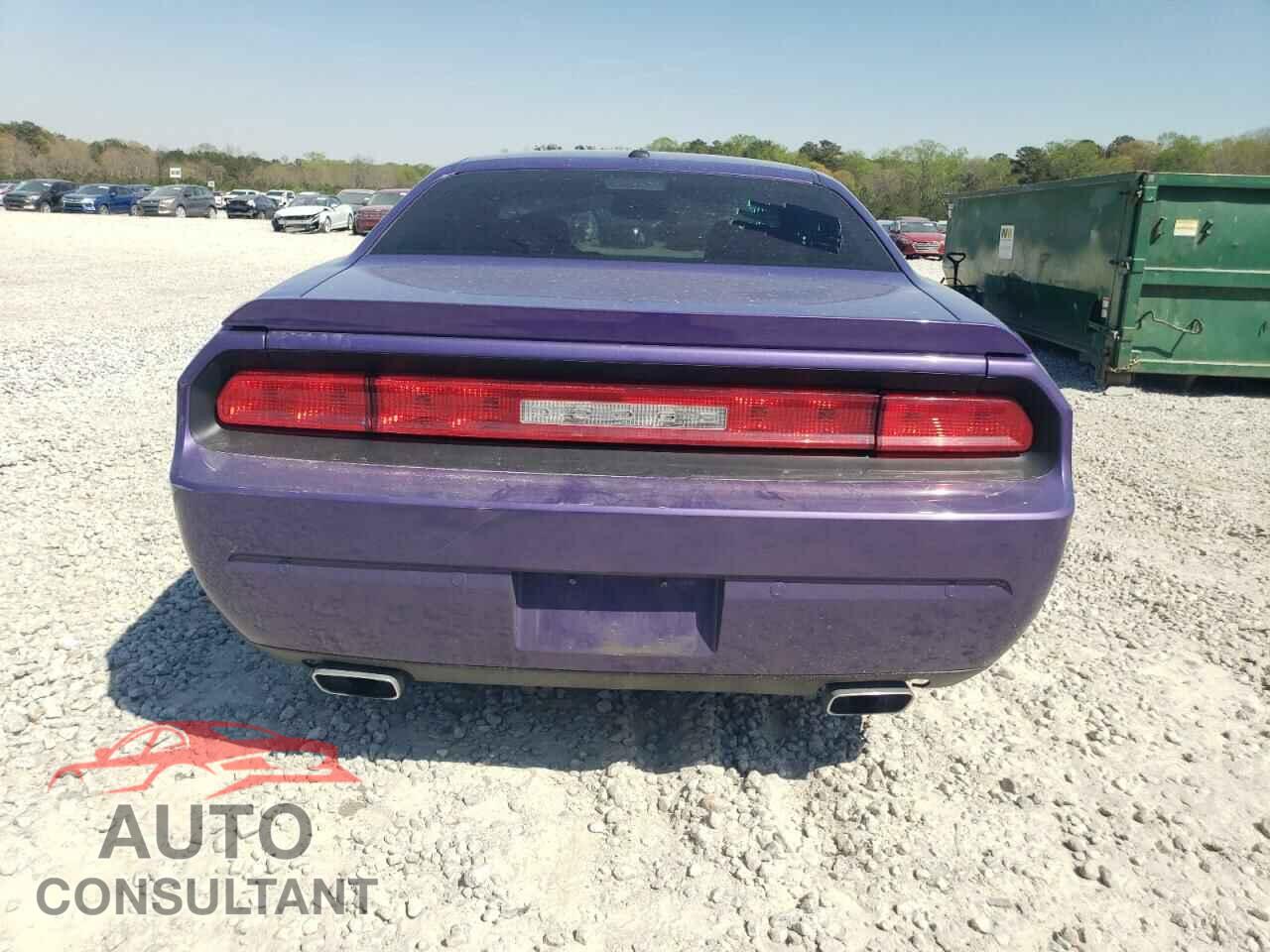 DODGE CHALLENGER 2013 - 2C3CDYBT7DH741307