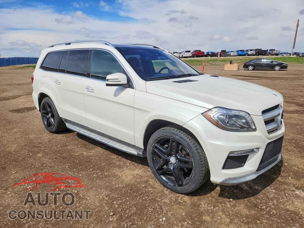 MERCEDES-BENZ GL-CLASS 2014 - 4JGDF2EE2EA433946