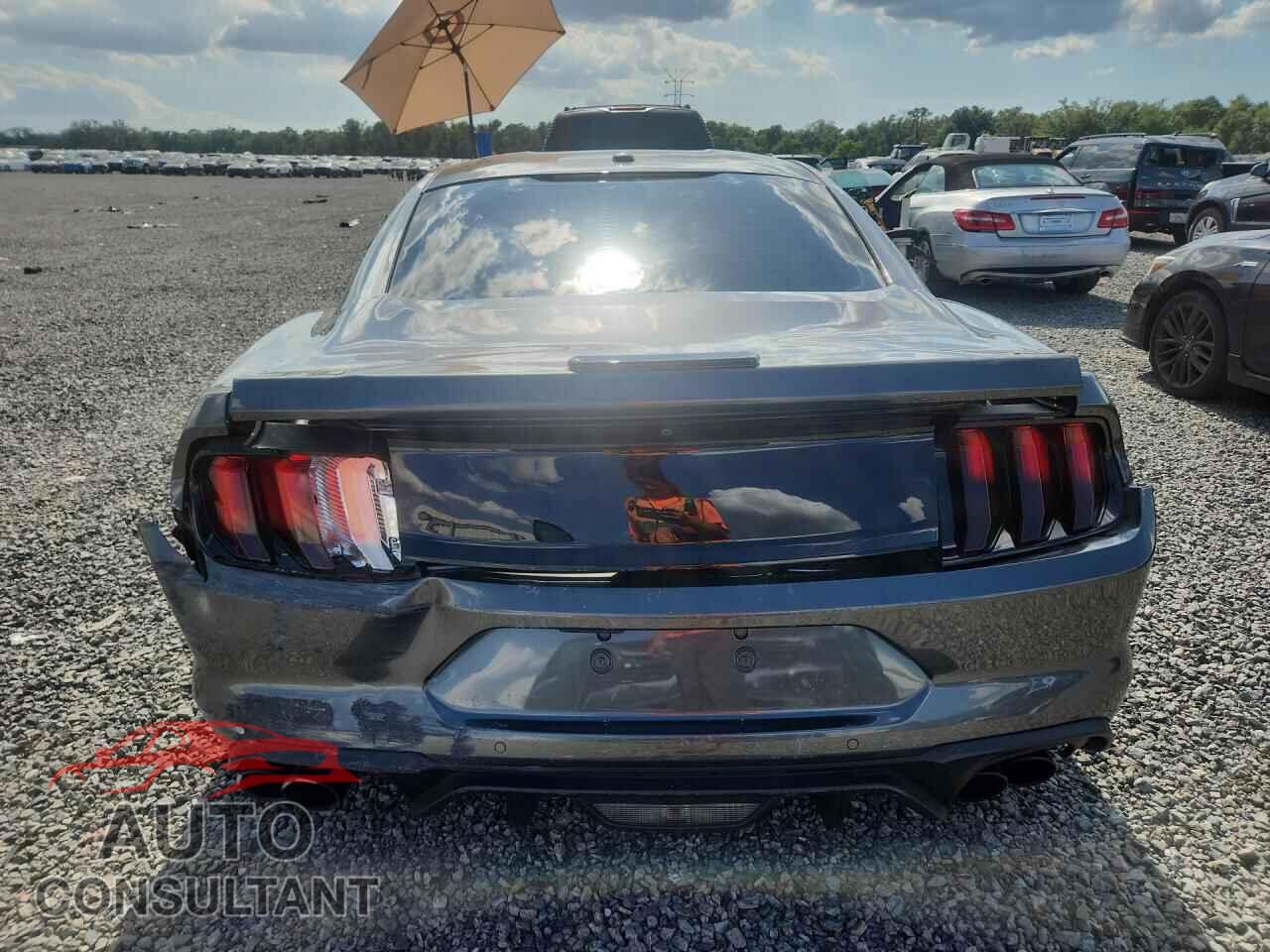 FORD MUSTANG 2019 - 1FA6P8CF5K5138097