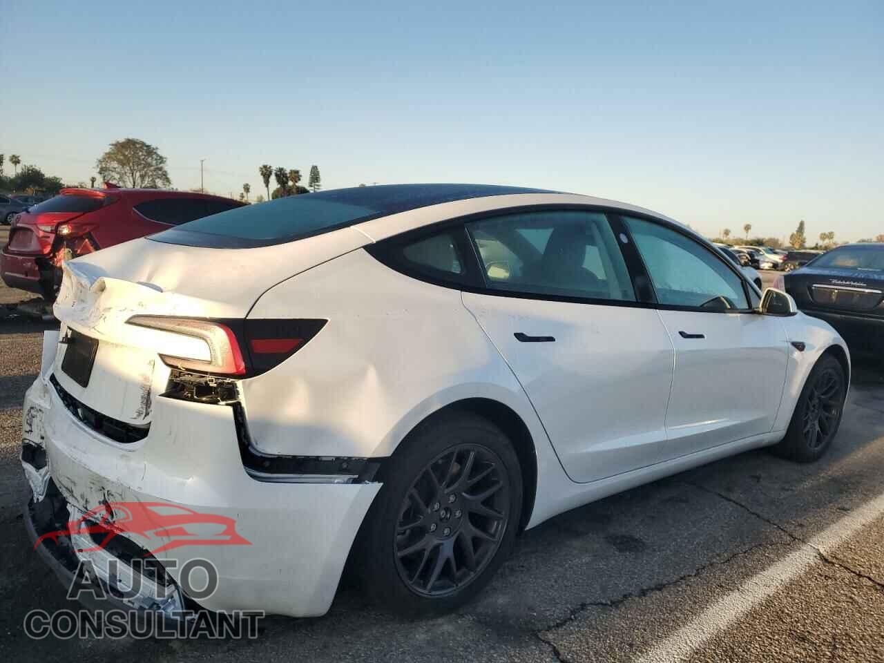 TESLA MODEL 3 2024 - 5YJ3E1EA8RF862516