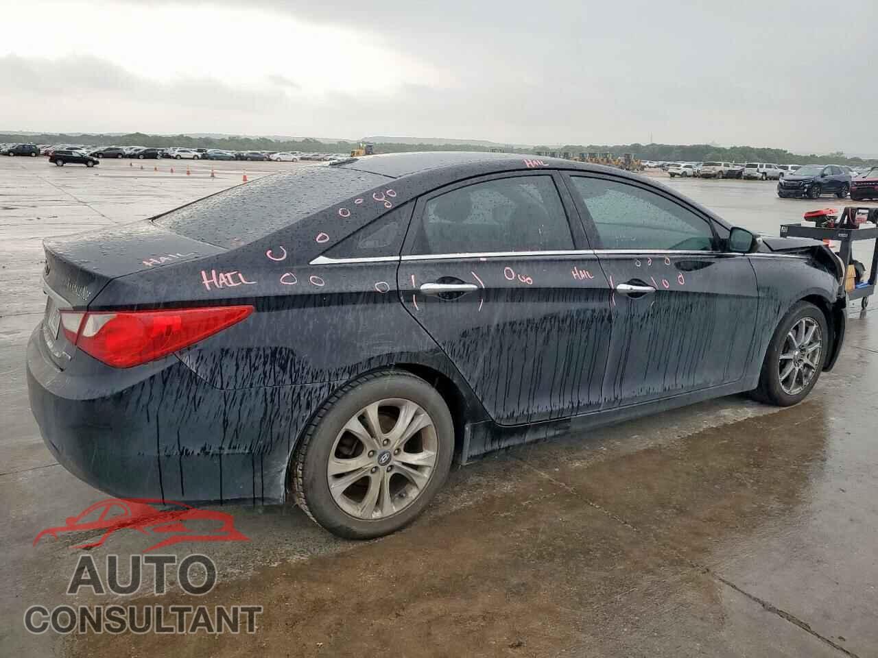 HYUNDAI SONATA 2013 - 5NPEC4AC5DH564989
