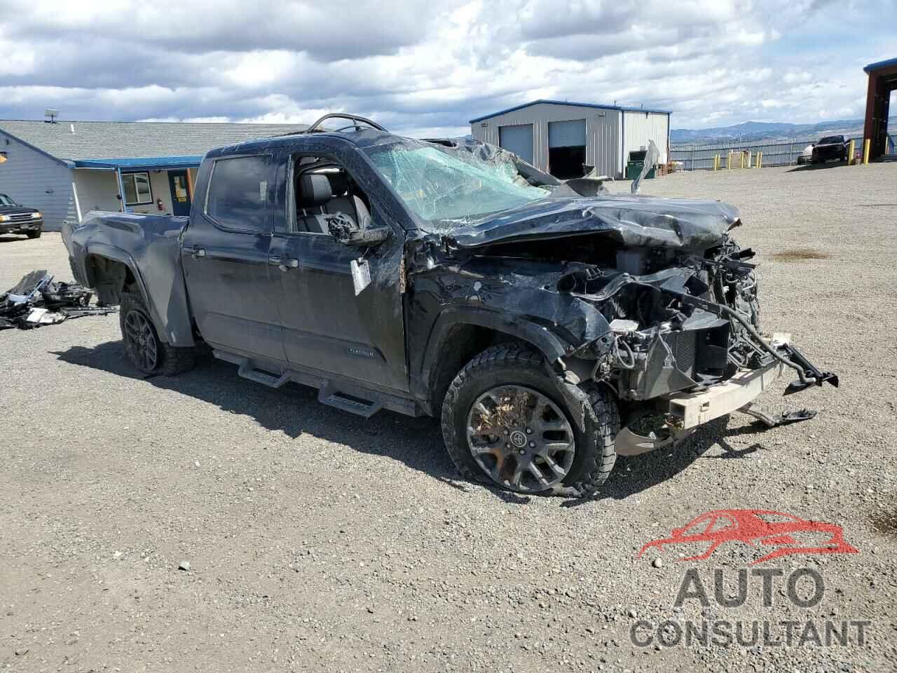 TOYOTA TUNDRA 2023 - 5TFNA5EC6PX017566