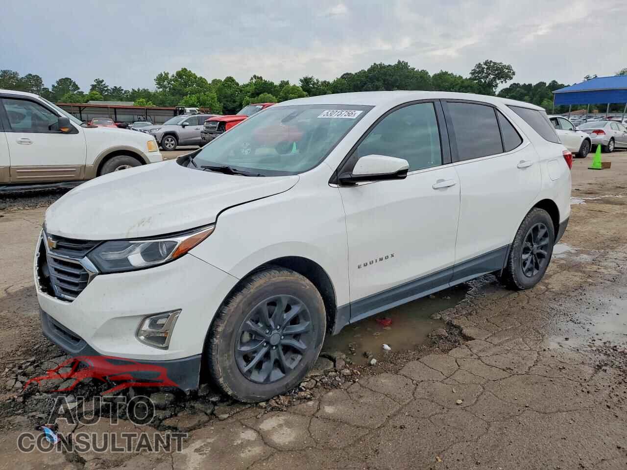 CHEVROLET EQUINOX 2019 - 2GNAXJEV2K6259357