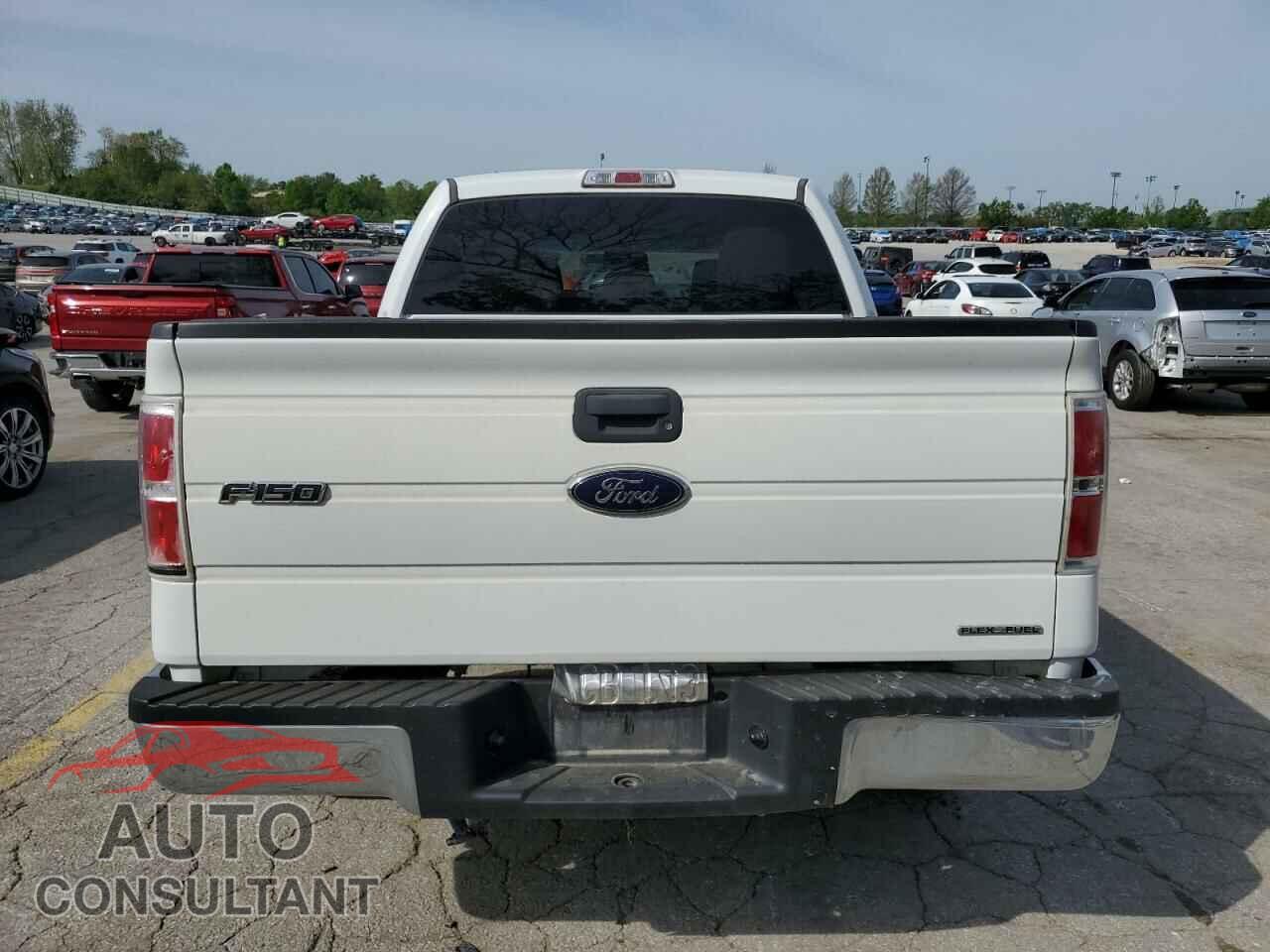 FORD F-150 2013 - 1FTFW1CF1DKF67729
