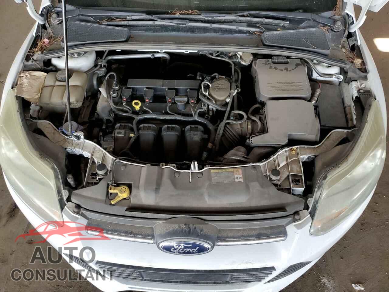 FORD FOCUS 2013 - 1FADP3F23DL222405
