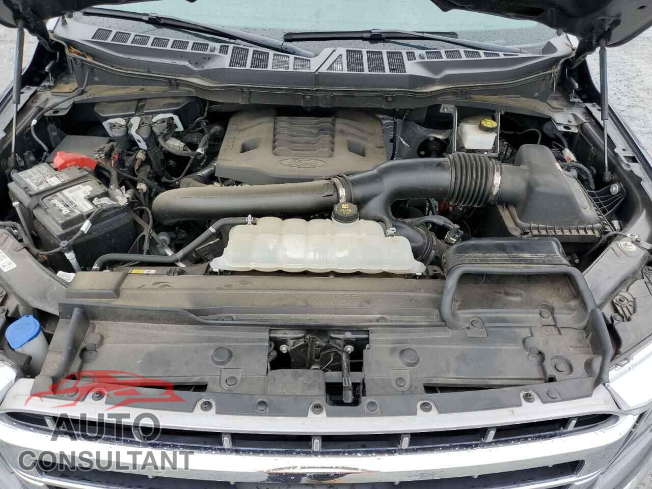 FORD F-150 2021 - 1FTFW1E83MFB34310