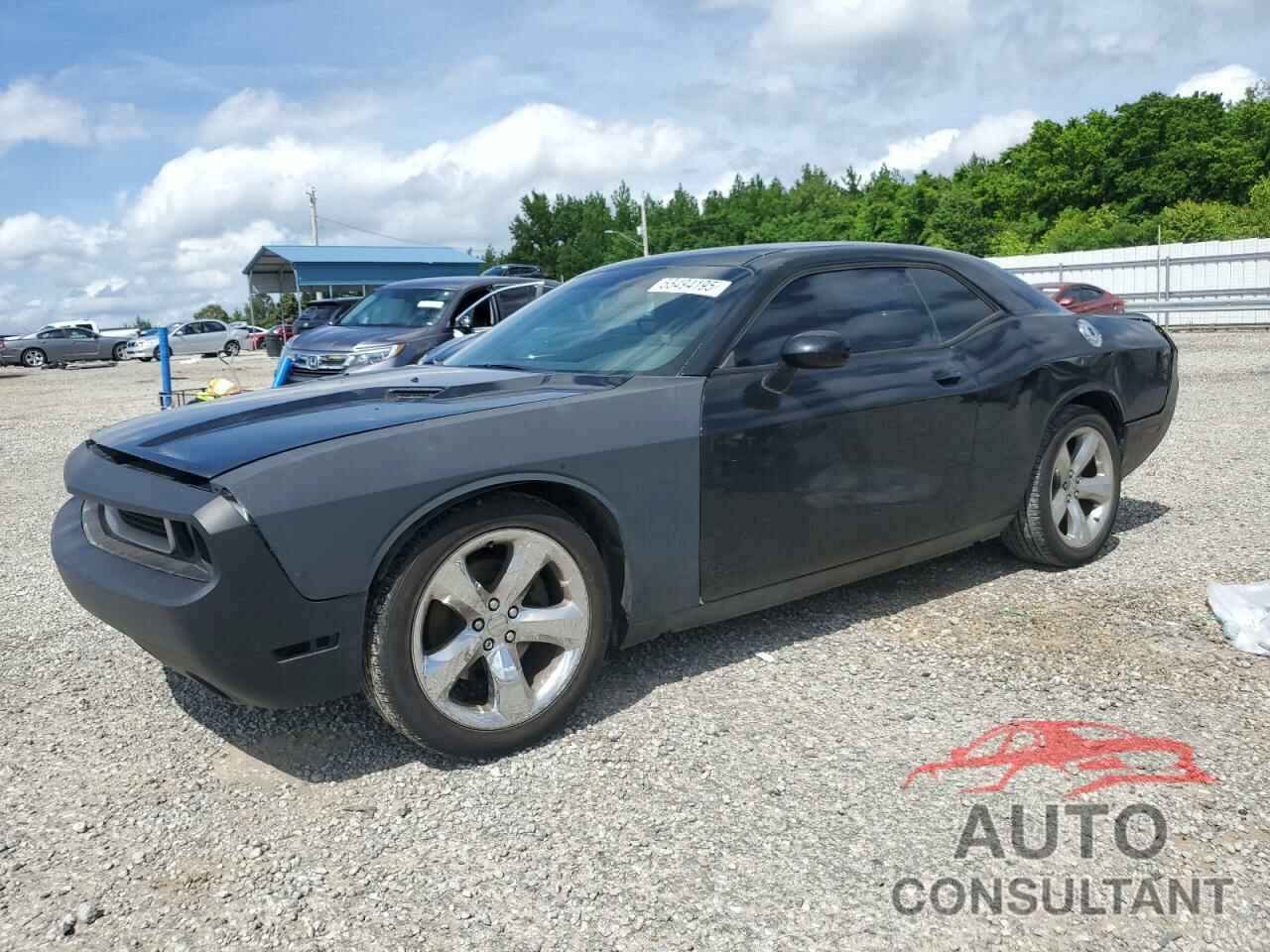 DODGE CHALLENGER 2014 - 2C3CDYAG4EH195989
