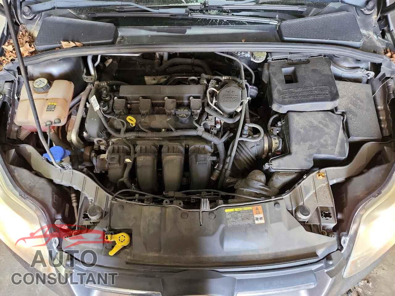 FORD FOCUS 2012 - 1FAHP3F23CL108517