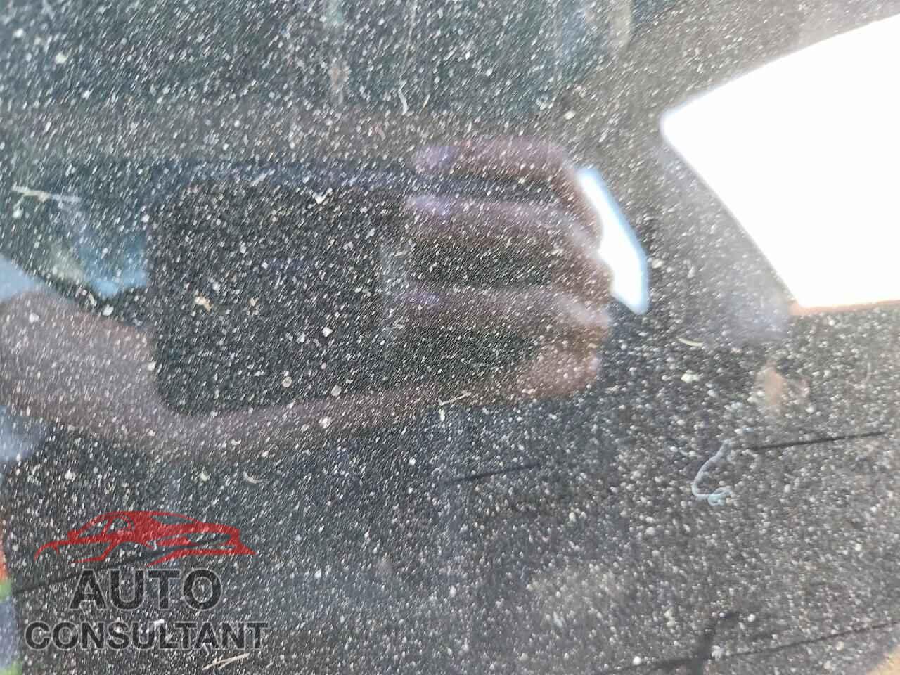TESLA MODEL 3 2019 - 5YJ3E1EA0KF411215