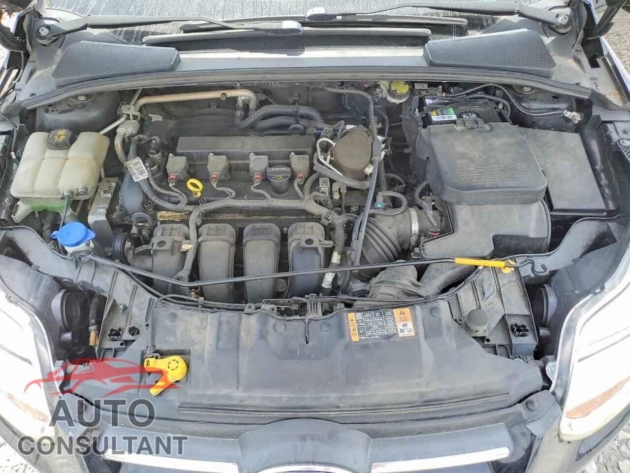 FORD FOCUS 2014 - 1FADP3F23EL296098
