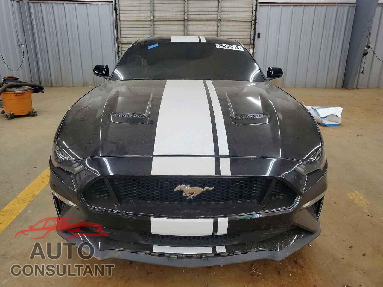 FORD MUSTANG 2019 - 1FA6P8CF8K5194020