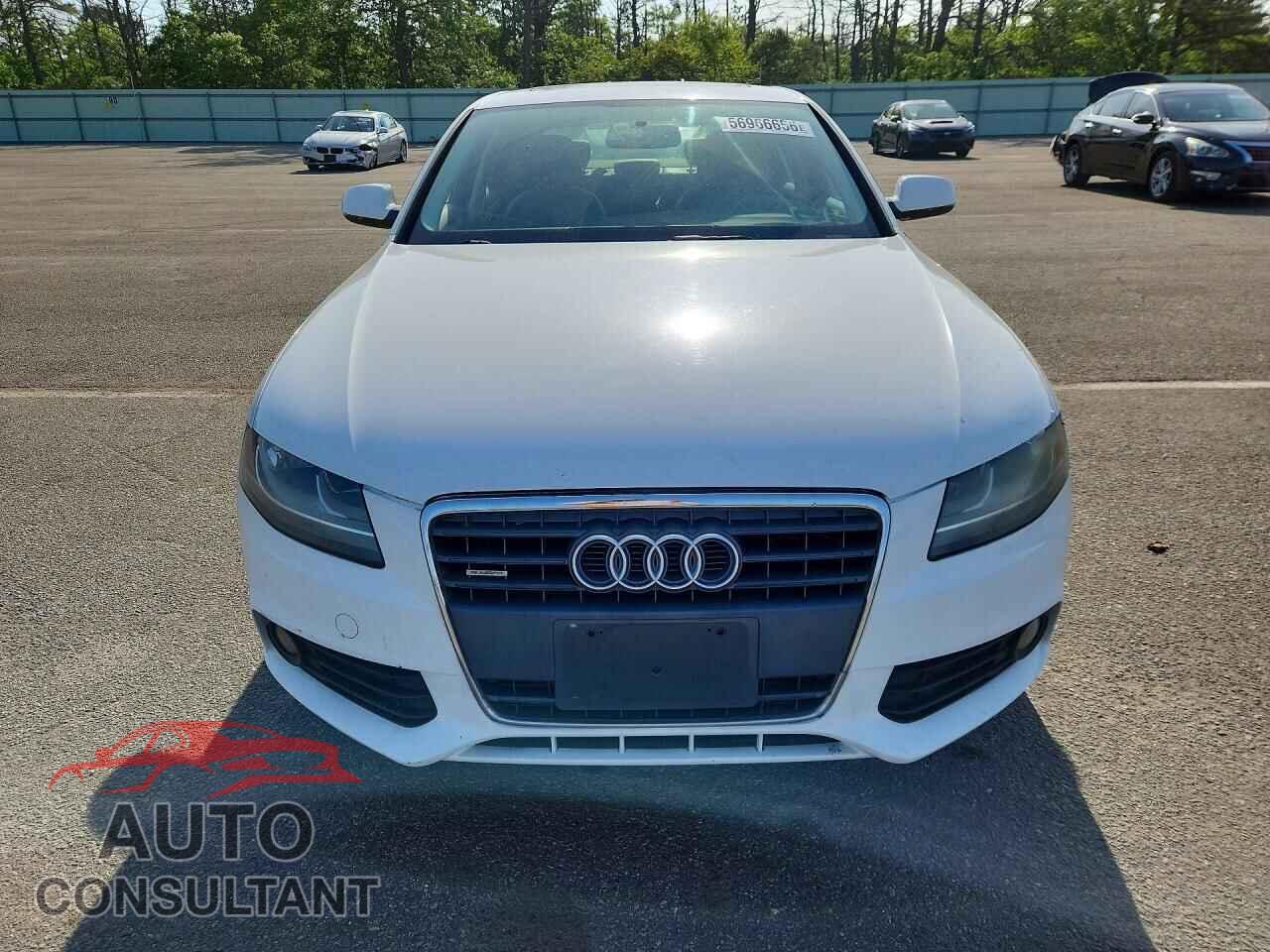 AUDI A4 2010 - WAUBFAFL8AN005155
