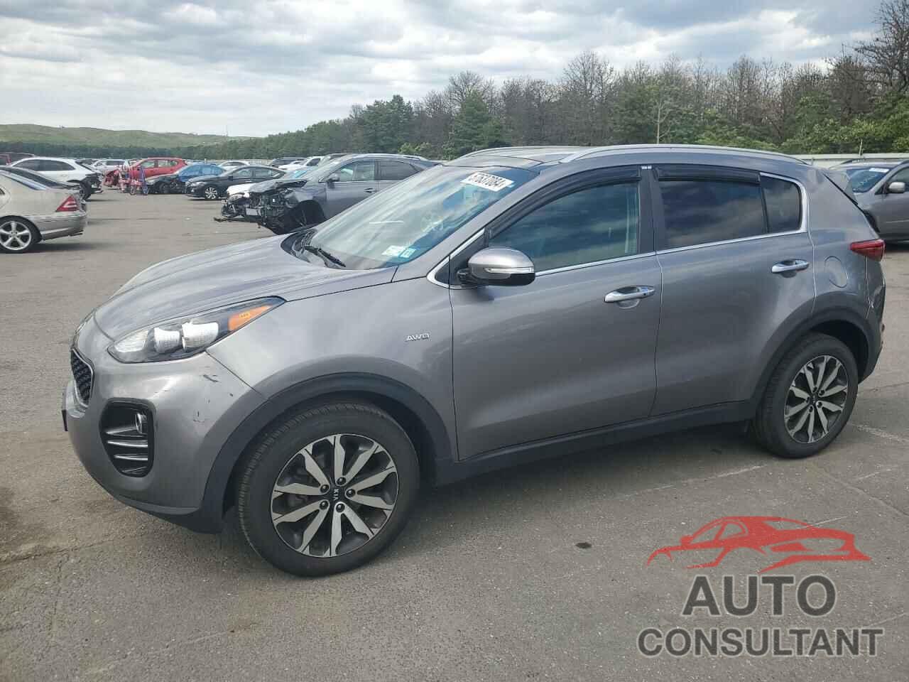 KIA SPORTAGE 2017 - KNDPNCAC1H7269458