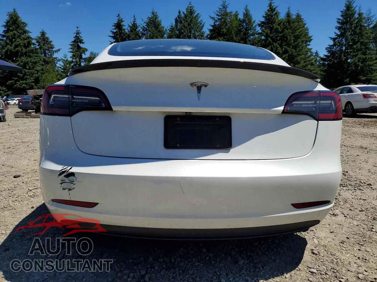 TESLA MODEL 3 2023 - 5YJ3E1EA5PF519045