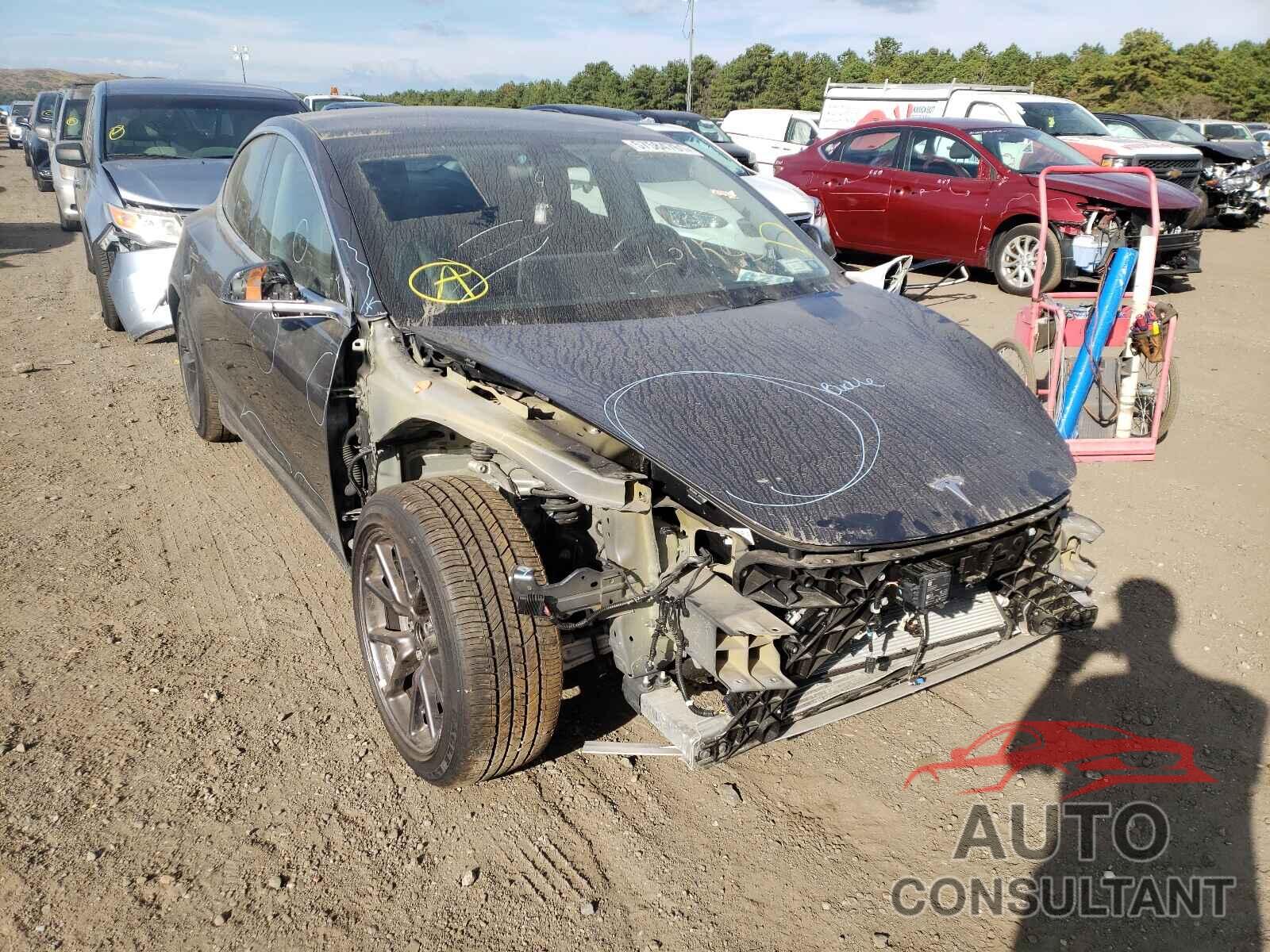 TESLA MODEL 3 2019 - 5YJ3E1EA8KF308172