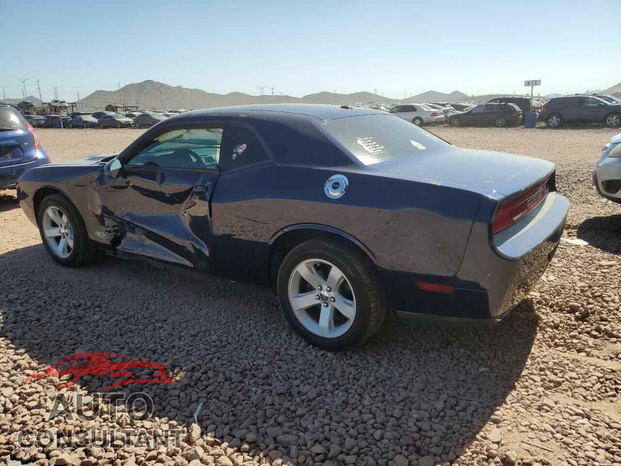 DODGE CHALLENGER 2013 - 2C3CDYAG5DH695223