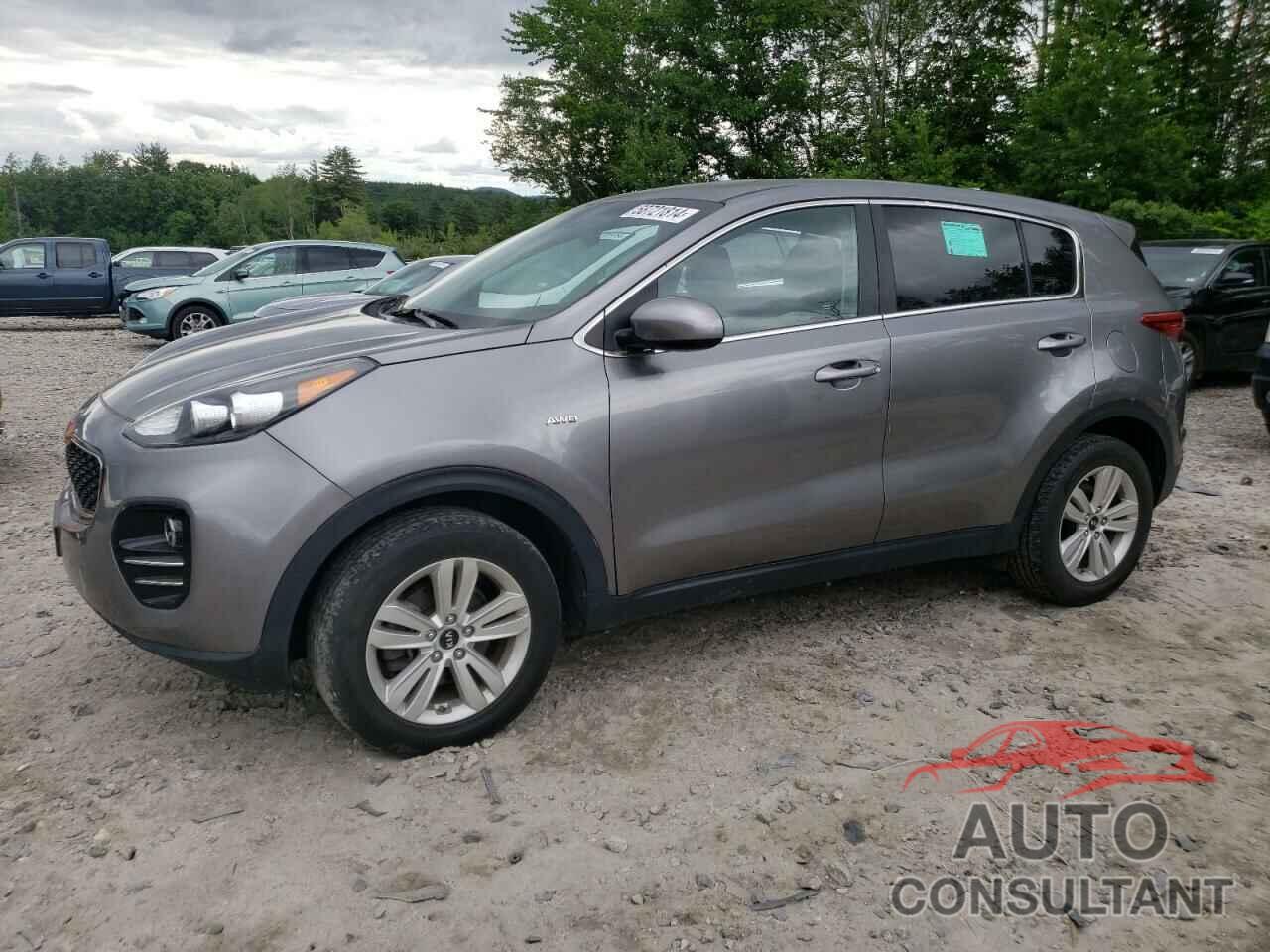 KIA SPORTAGE 2019 - KNDPMCACXK7558302